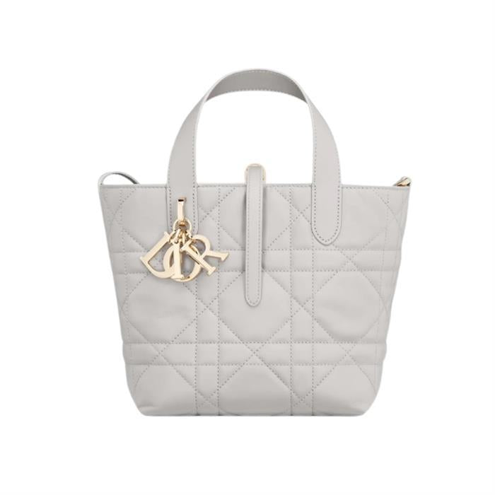 DIOR Toujours Small Vertical Tote Bag M2835OSNW M55G