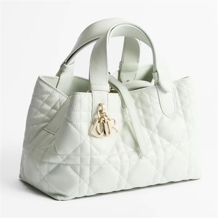 DIOR Small Dior Toujours Shoulder Bag