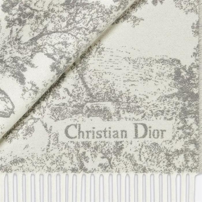 DIOR Toile de Jouy Sauvage Wool Scarf Navy