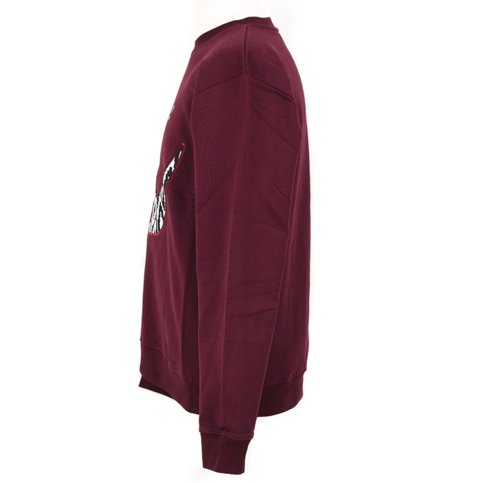 Alexander Mcqueen Swallow Embroidered Sweatshirt for Men