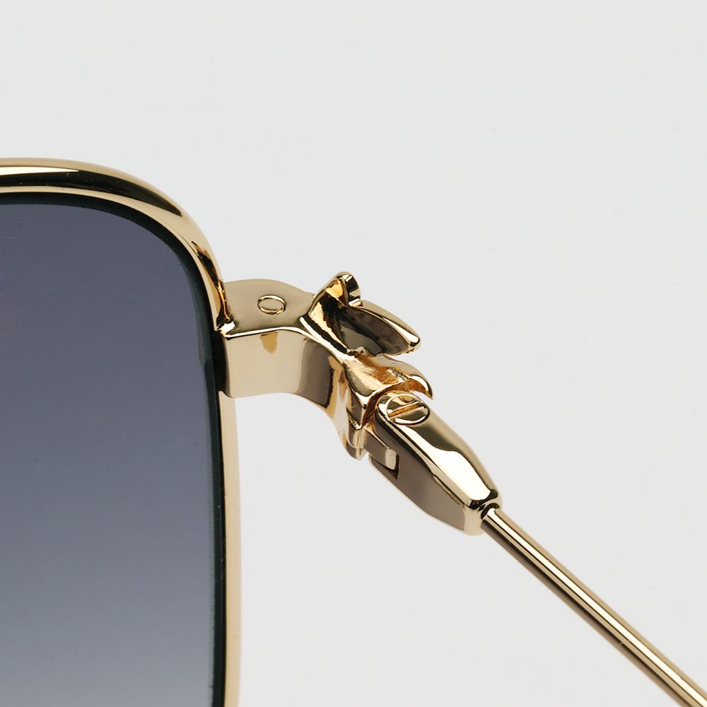 Etro Gold Frame Oversized Unisex Sunglasses
