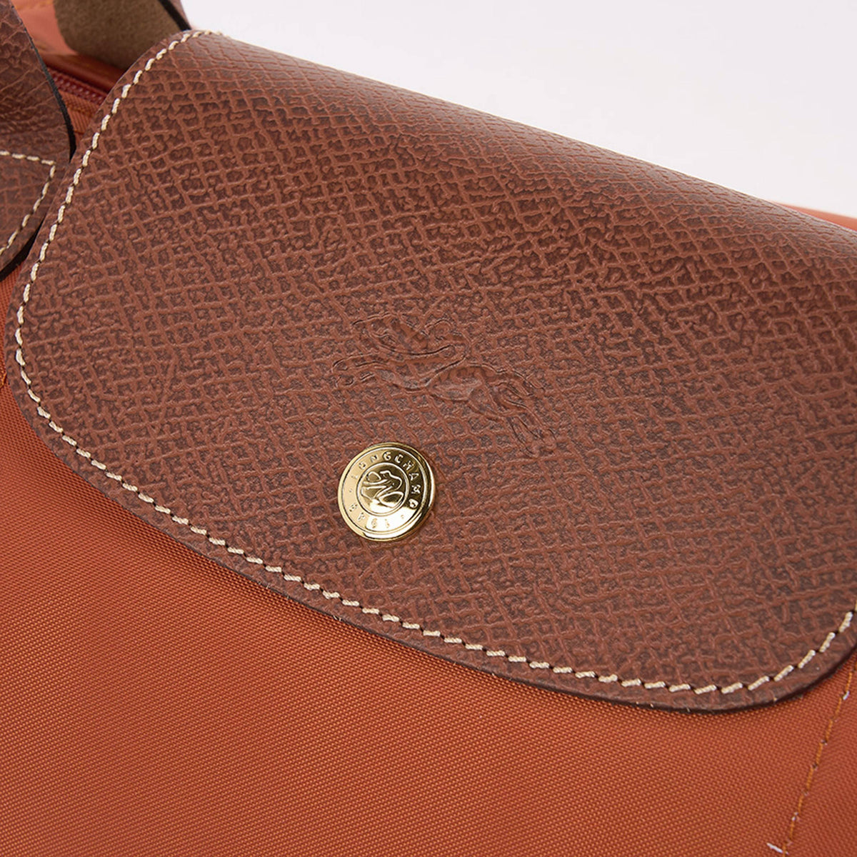 Longchamp Le Pliage L Tote Bag for Women L1899 089 P97