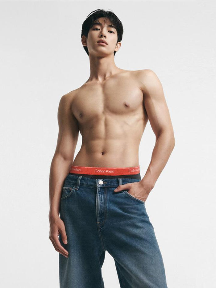 Calvin Klein Men’s Cotton Stretch Boxer Briefs 3-Pack Underwear NB4389