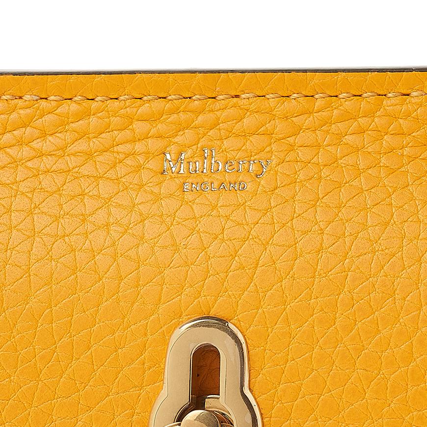 Mulberry Micro Amberley Shoulder Bag Women’s RL7409 736 P677
