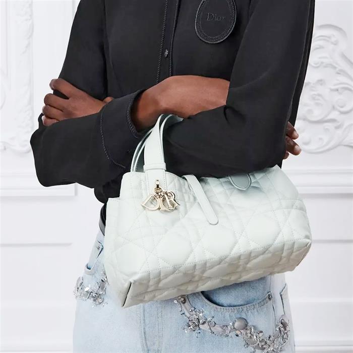 DIOR Small Dior Toujours Shoulder Bag