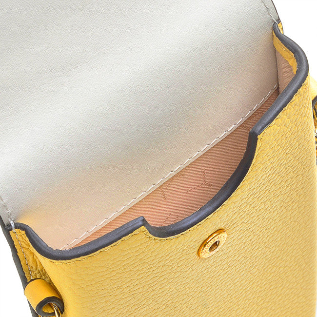 RADLEY LONDON Lockwood Island Colorblock Medium Phone Crossbody Bag Butter