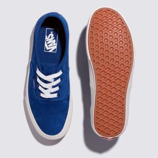 Vans Authentic Low-Top Canvas Sneakers for Men VN000D6G5TU1 DOM