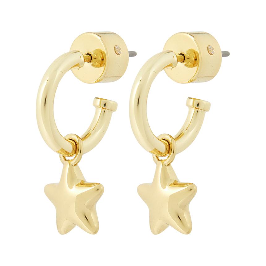 Coach Women’s Earrings 546484 GLD 710
