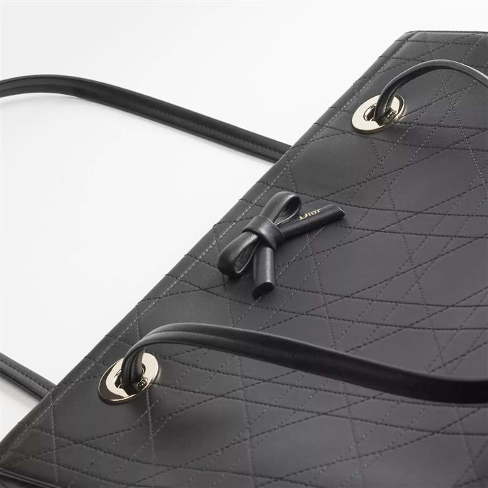 DIOR Promenade Shopper Tote Medium Shoulder Bag