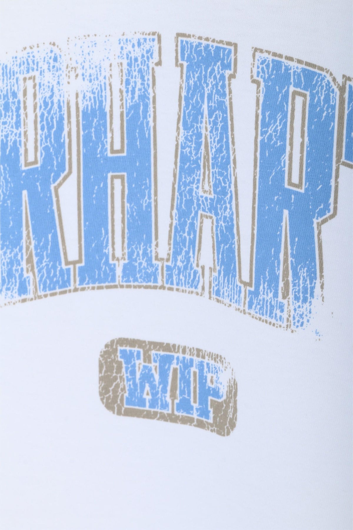 CARHARTT WIP Lecture Graphic Short Sleeve T-Shirt White I034766 024G
