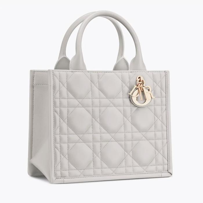 DIOR Book Tote Small Shoulder Bag M1325OWHP M55G