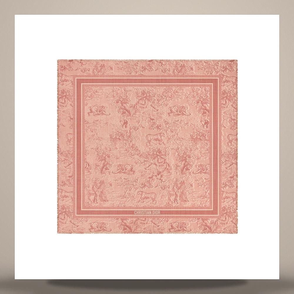 DIOR Rose des Vents Toile de Jouy Sauvage Wool Silk Scarf