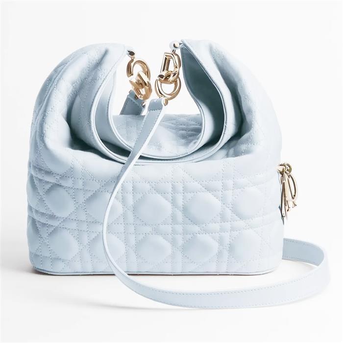 DIOR Toujours Small Hobo Bag Leather Shoulder Bag