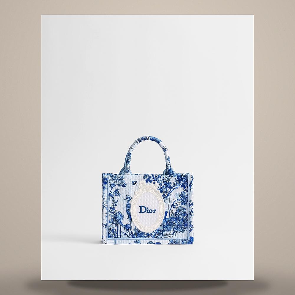 DIOR Blue White Embroidered Toile de Jouy Mini Strap Bag Crossbod S5584PEUQ M06I