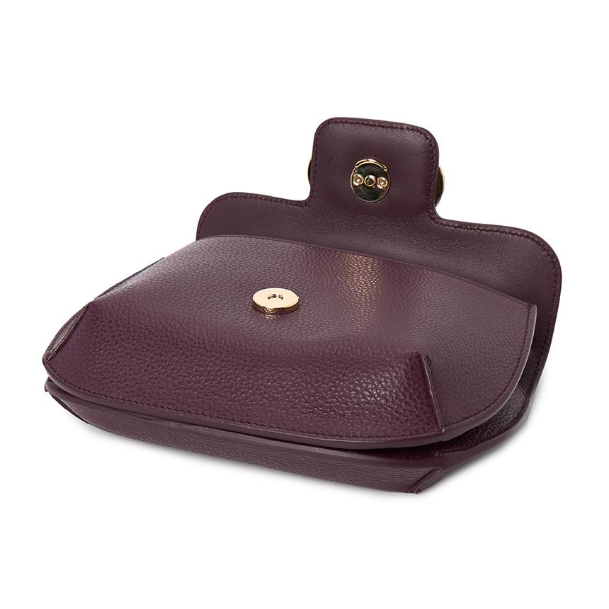 Ferragamo Double Gancini Women’s Mini Crossbody Bag