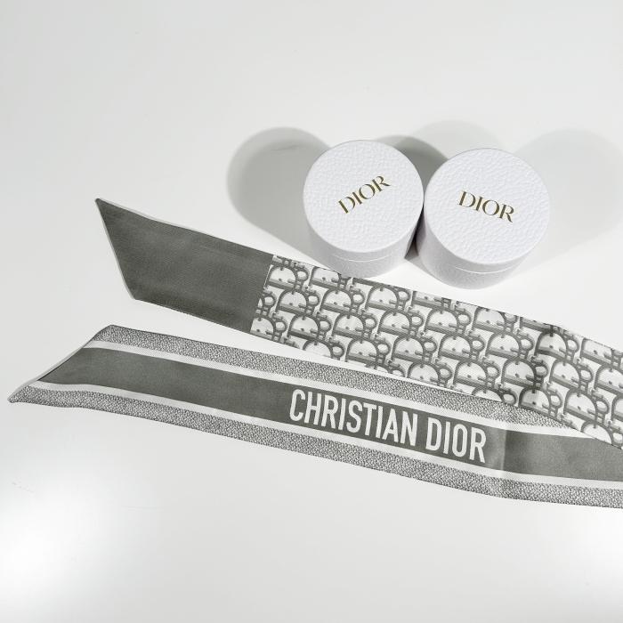 DIOR Oblique Mitzah Scarf Gray Silk Scarf for Men