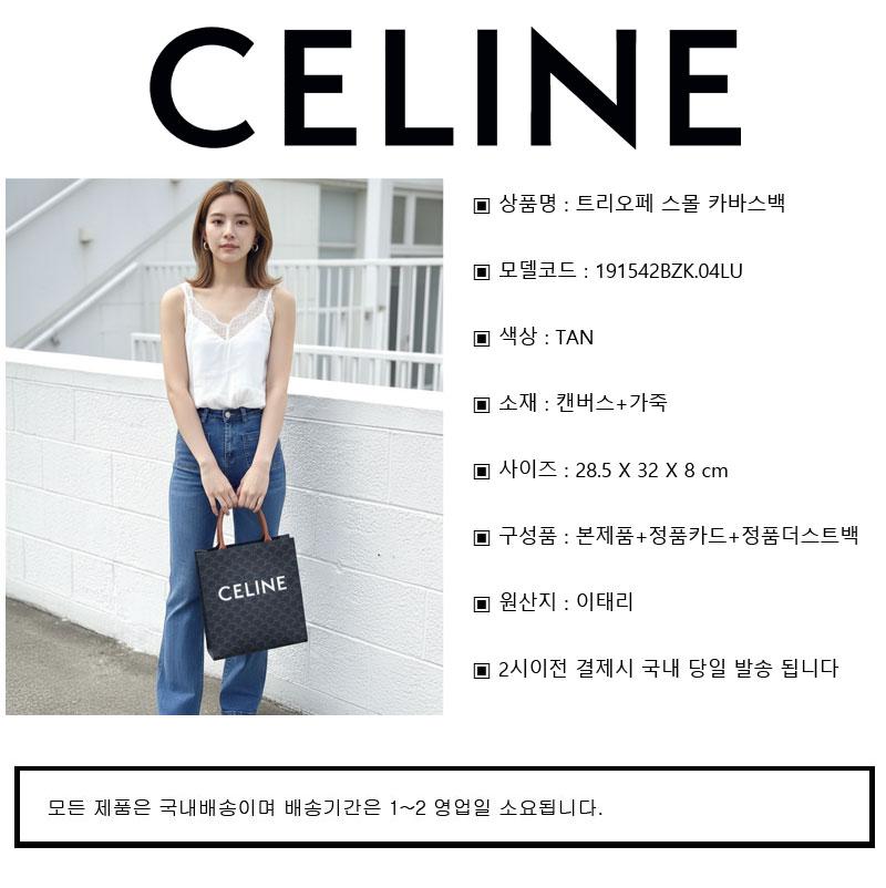 CELINE Triomphe Small Vertical Cabas Crossbody Bag