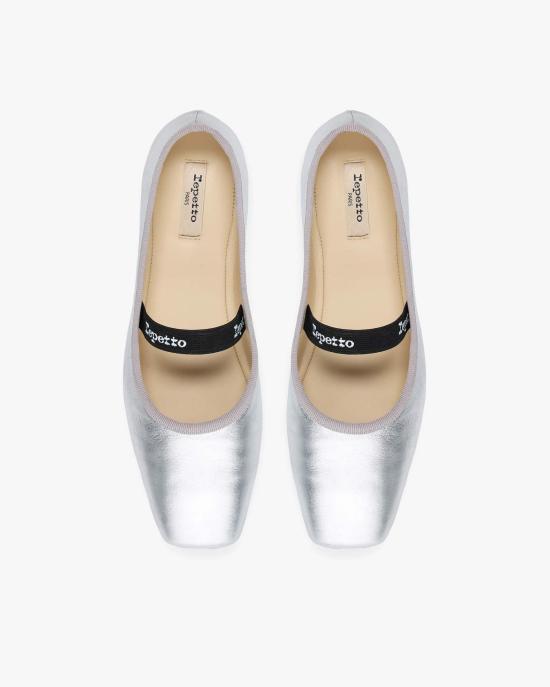 repetto Leather Ballet Flats Black V4200 VEMD 020