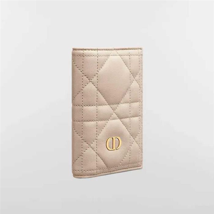 DIOR Miss Caro Leather Passport Holder Wallet Gray