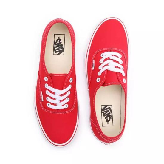 Vans Classic Low-Top Sneakers for Men VN000EE3RED1 DOM