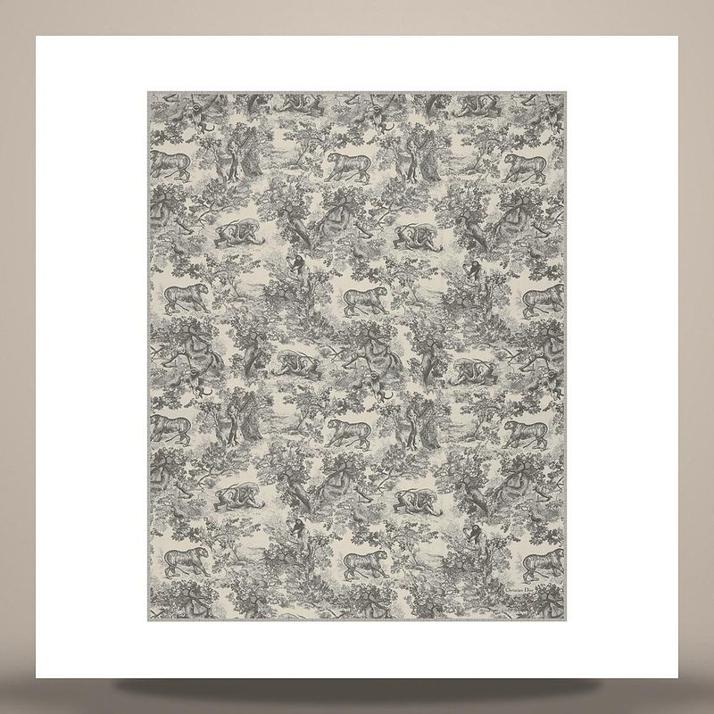 DIOR Toile de Jouy Sauvage Ivory Gray Cashmere Scarf