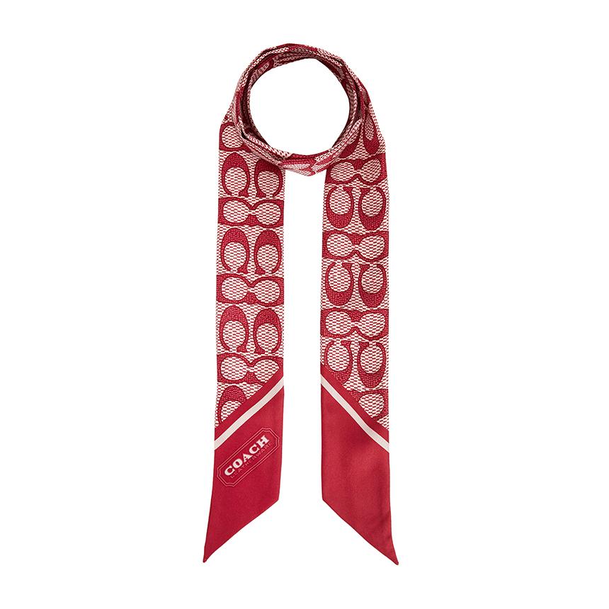 Coach Signature Women’s Silk Skinny Scarf C2783 DN8