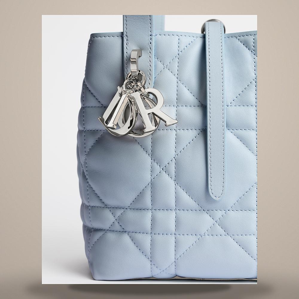 DIOR Ice Blue Macro Cannage Calfskin Toujours Vertical Small Tote Bag