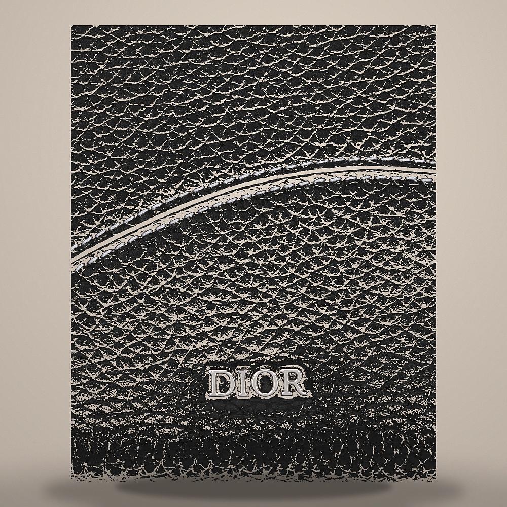 DIOR Black Grained Calfskin Saddle Zipped Long Wallet Card Holder