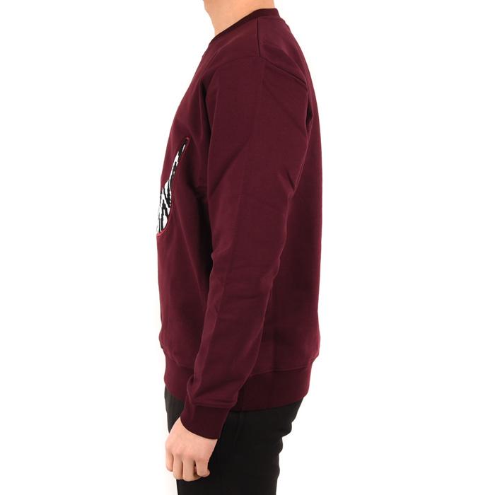 Alexander Mcqueen Swallow Embroidered Sweatshirt for Men