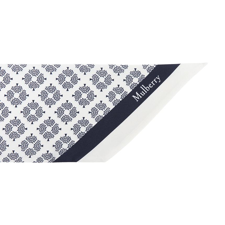 Mulberry Large Women Skinny Scarf Scarf