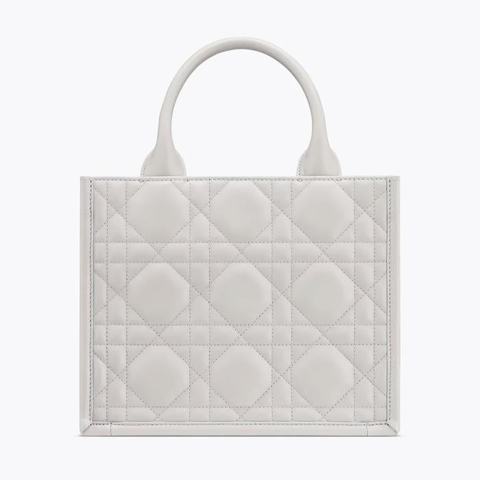 DIOR Book Tote Small Shoulder Bag M1325OWHP M55G