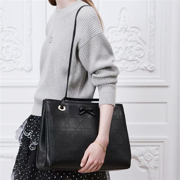 DIOR Promenade Shopper Tote Medium Shoulder Bag