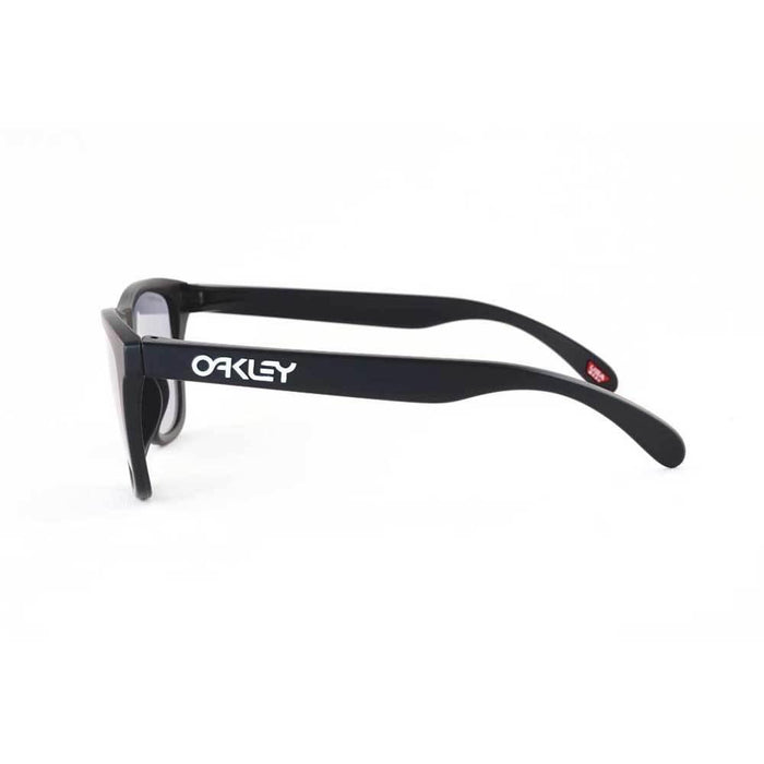 Nike Matte Black Prizm Slate Frogskins Sunglasses
