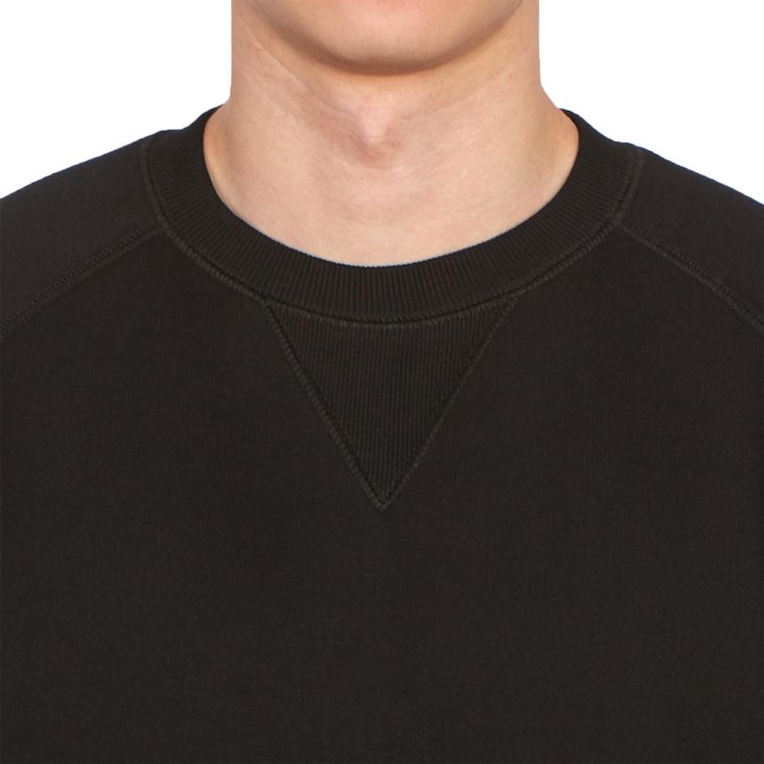 Carhartt Chase Fleece Lined Men’s Sweatshirt I033660 00FXX