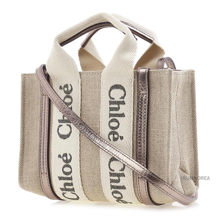 Chloe Mini Woody Tote Bag for Women CHC25SP237O81 074