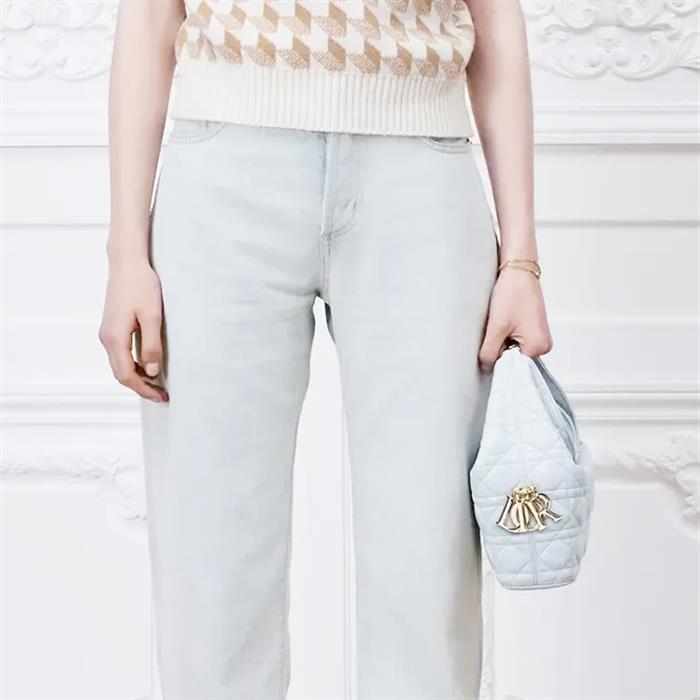 DIOR Toujours Small Hobo Bag Leather Shoulder Bag
