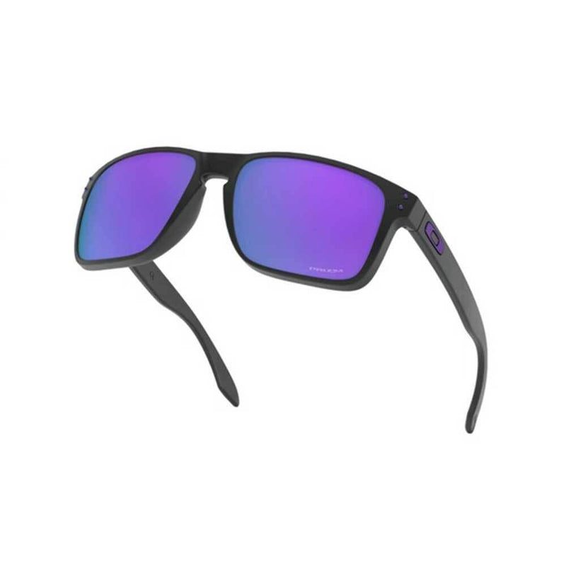 Nike Matte Black Violet Prizm Holbrook XL Sunglasses