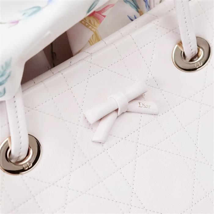 DIOR Promenade Shopper Tote Small Shoulder Bag