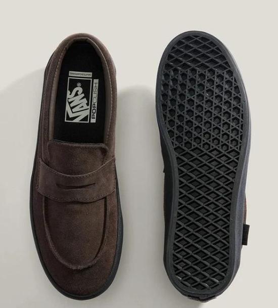 Vans Skate Loafers Men's Shoes VN000VA6Y491