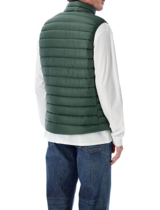 patagonia Treeline Green Down Sweater Vest