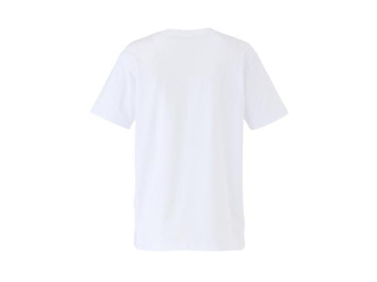 Onitsuka Tiger Short Sleeve T-Shirt for Men 2183B457 100 WHITE DOM