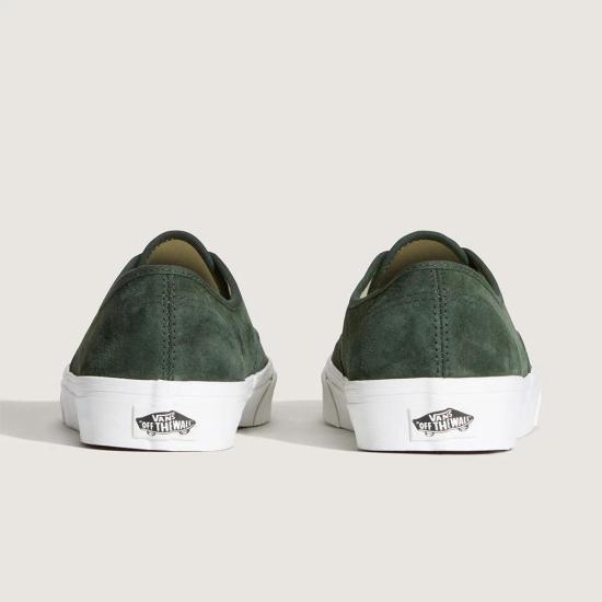 Vans Authentic Canvas Low-Top Sneakers for Men VN000D7YEMU1 DOM