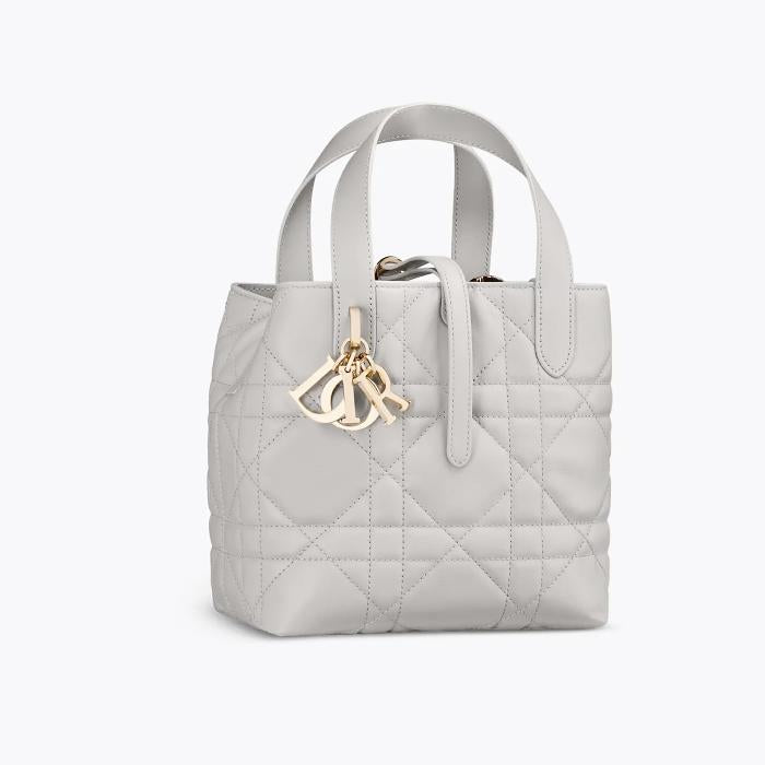 DIOR Toujours Small Vertical Tote Bag M2835OSNW M55G