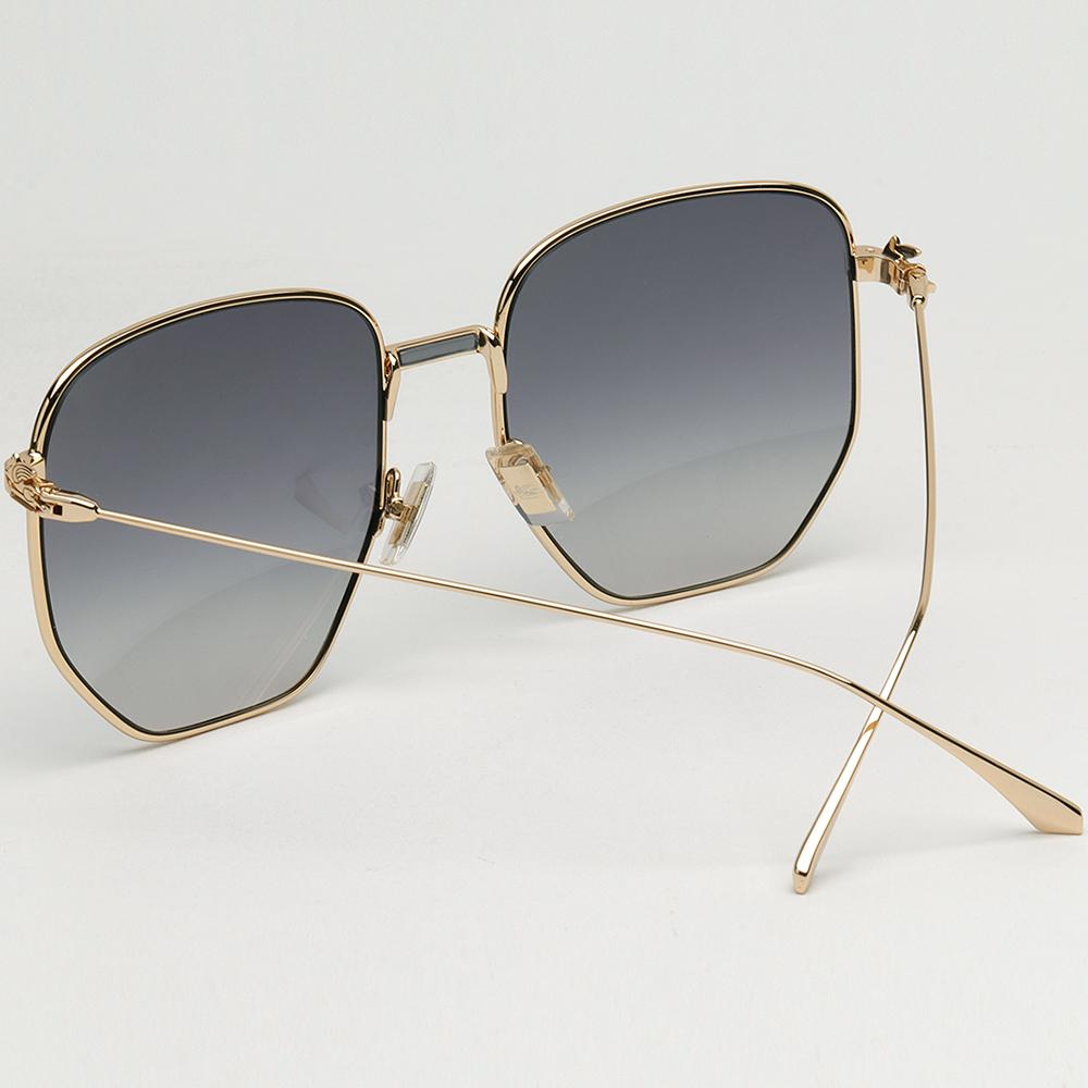 Etro Gold Frame Oversized Unisex Sunglasses