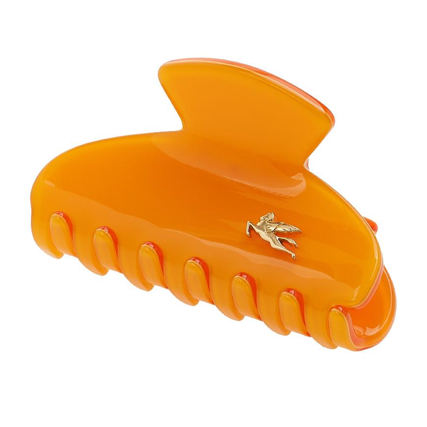Etro Profumi Hair Clip for Women