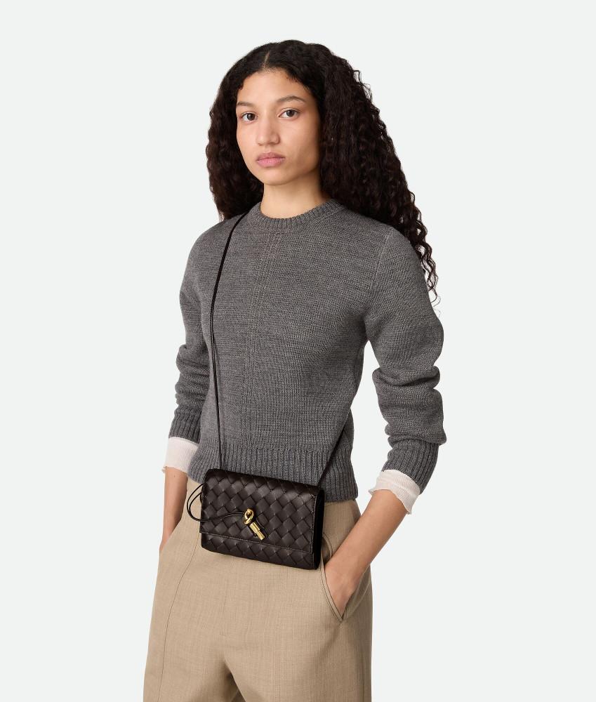 Bottega Veneta Intrecciato Andiamo Strap Pouch Fondant