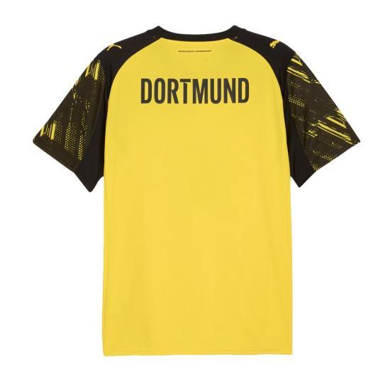 PUMA Training T-Shirt for Men 780088 01 DOM