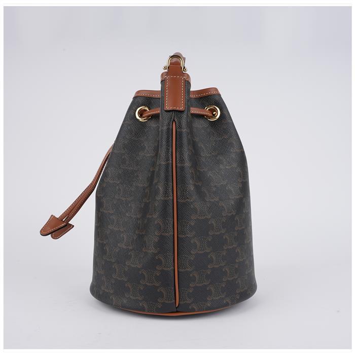 CELINE Triomphe Canvas Calfskin Clara Tote Bag