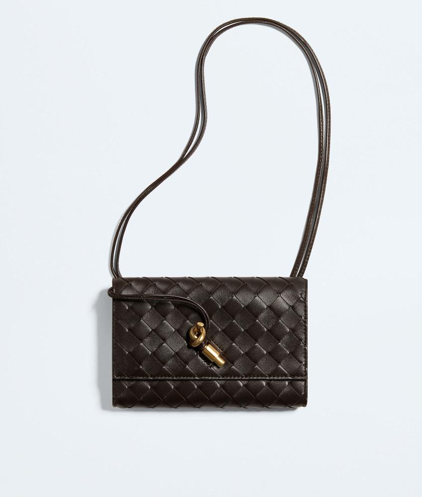 Bottega Veneta Intrecciato Andiamo Strap Pouch Fondant