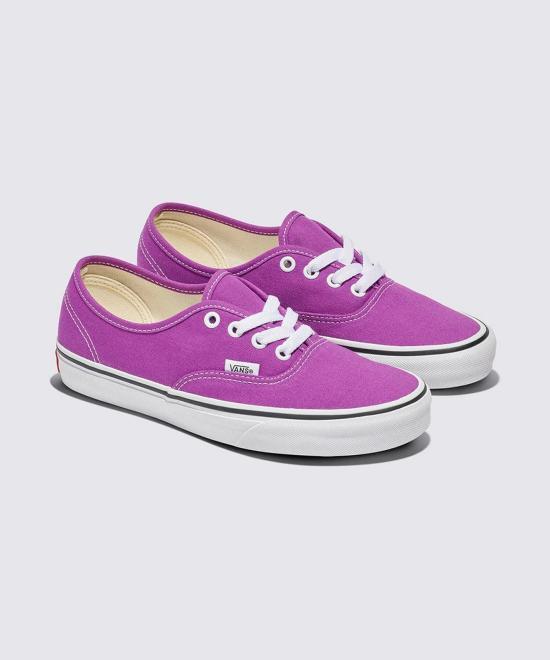 Vans Authentic Low-Top Canvas Sneakers for Men VN000D6GE2T1 DOM